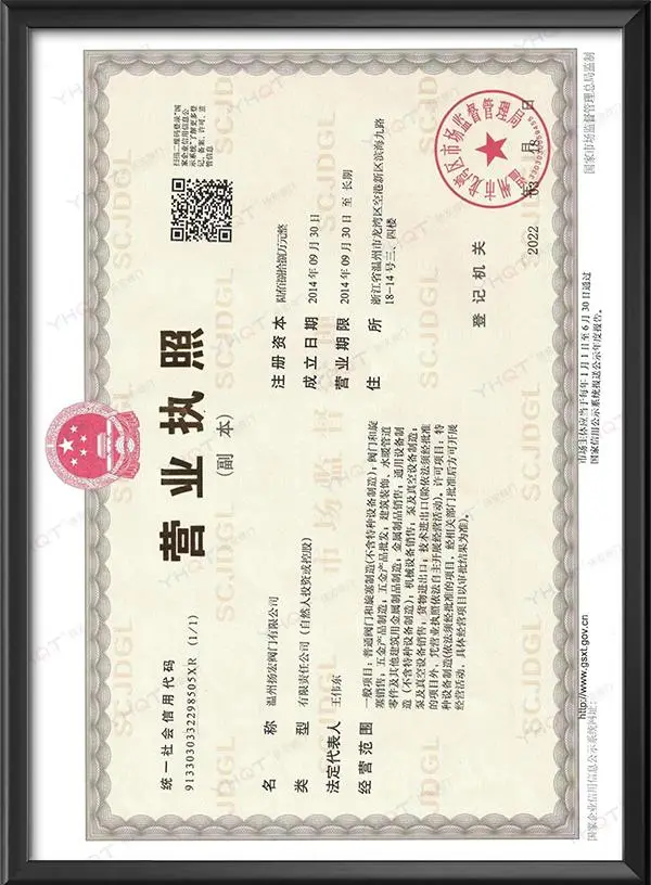 Business License